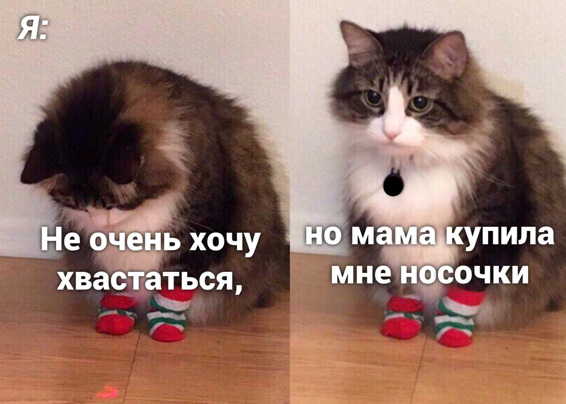 1592117956343.webp