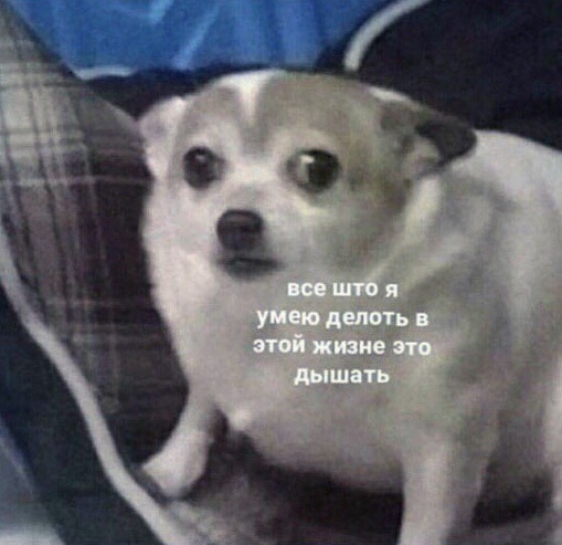 1592164242827.webp