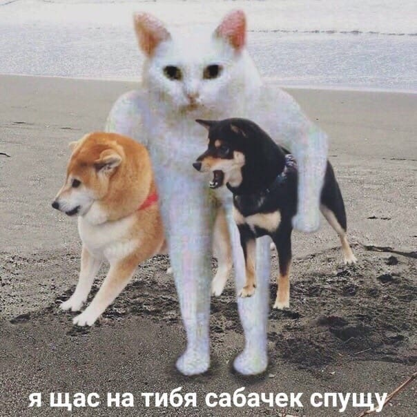 1592259177189.webp