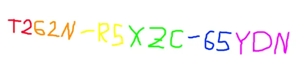 1592428009460.webp