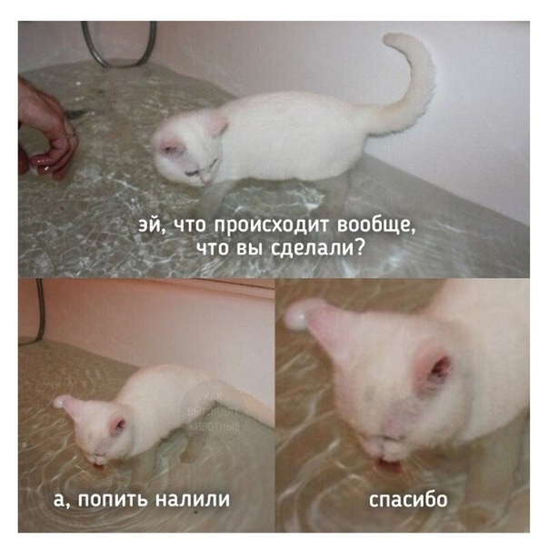1592592214077.webp