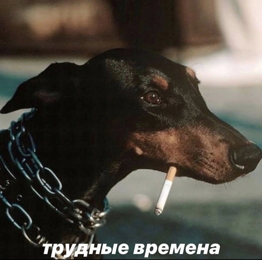 15930408153300.webp