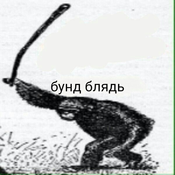 1593436303222.webp