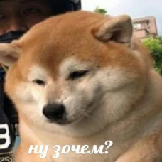 1594130772655.webp