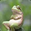 1594308294488.webp