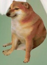1594317015691.webp