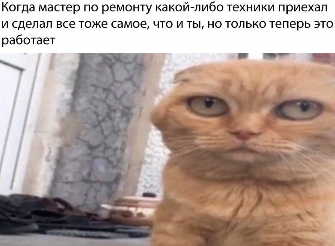 1595692955368.webp