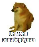 1596050302024.webp