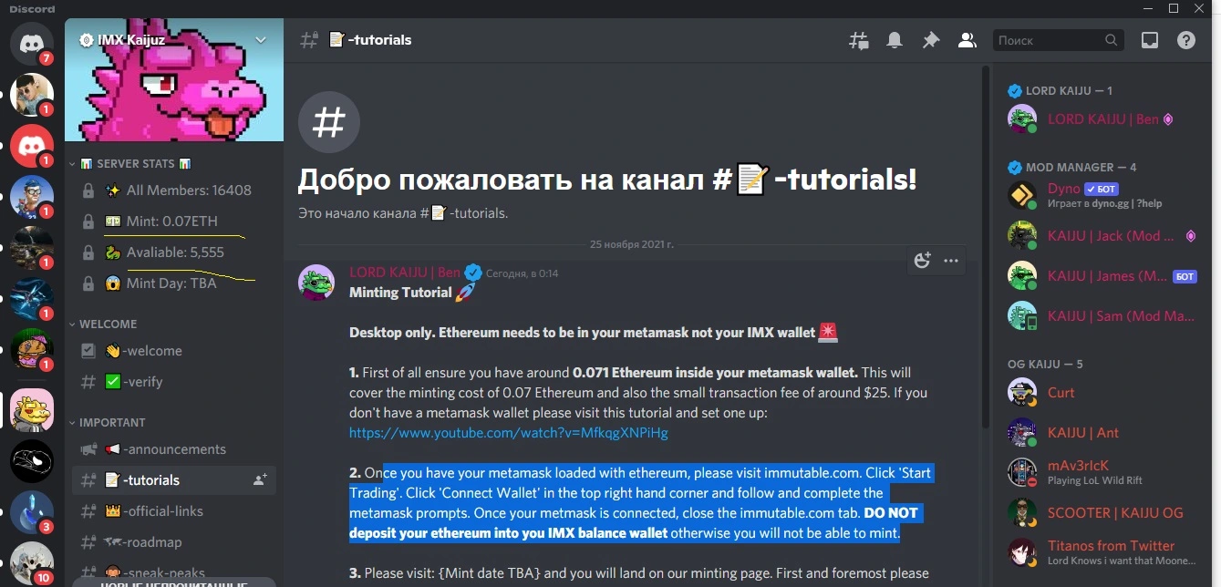 16.webp