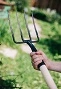 1600.webp