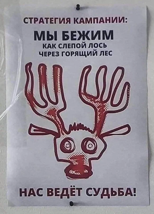 1600581082194958292.webp