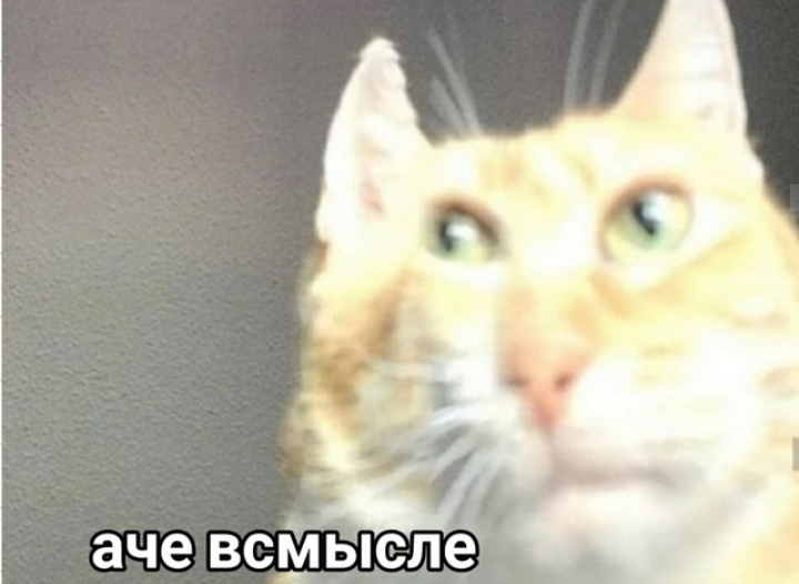 1600864607056.webp