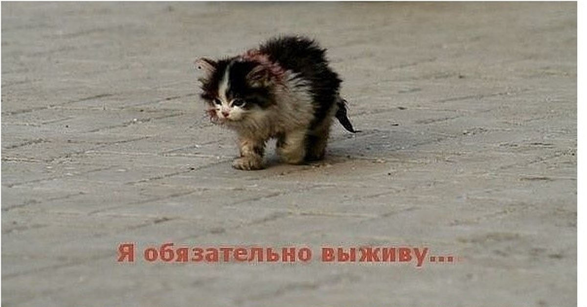 1601355329702.webp