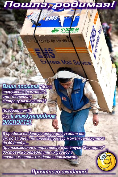 1603420913879.webp