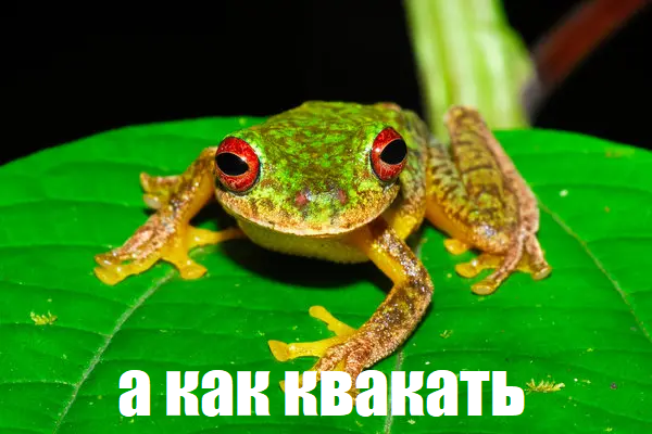 1603490536798.webp