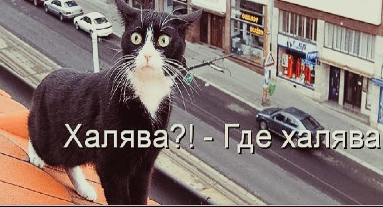 1603908766072.webp
