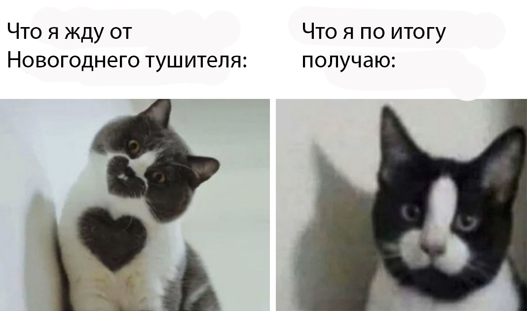 1604085217175657293.webp