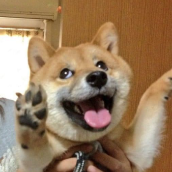 1604339226854.png