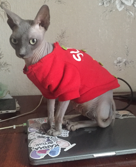 1604782137554.webp