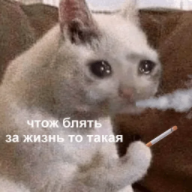 1605196652845.webp