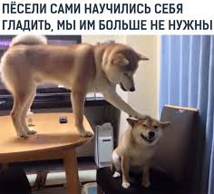 1605222500842.webp
