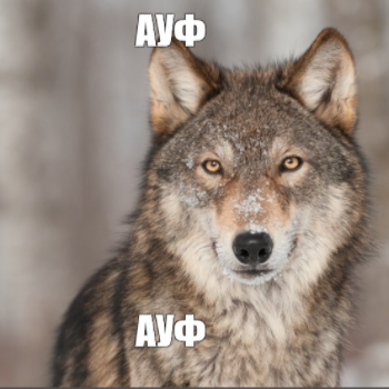 1605456081237.png
