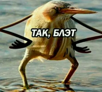 1605466894491.webp