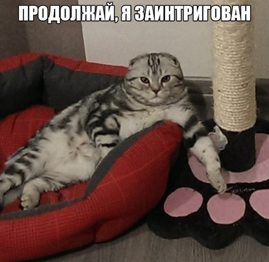 1605568115190.png