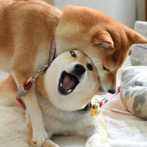 1605714682450.webp