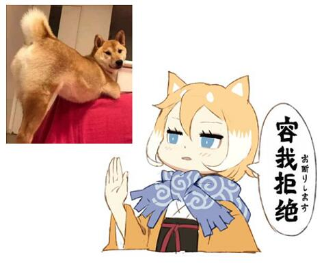1605798845912.webp