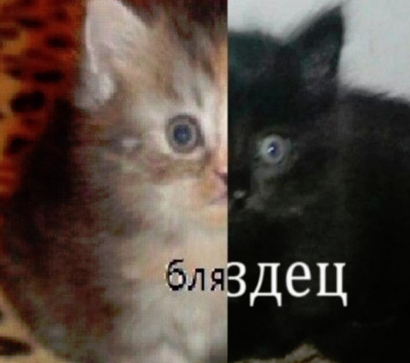 1606247042519.webp
