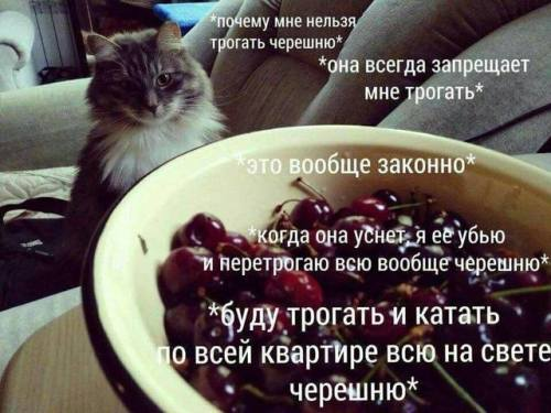 1606327822156.webp