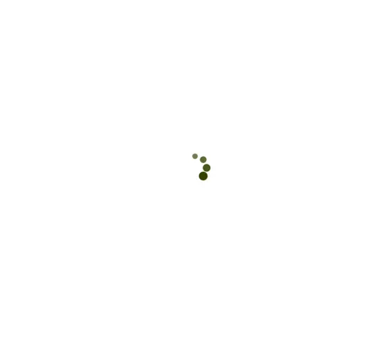 1606919491097.webp
