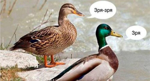 1606940306883.png