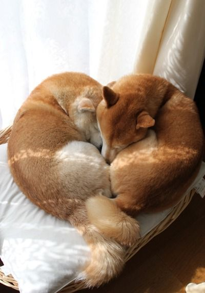 1607273938348.webp