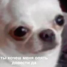 1607645188436.webp