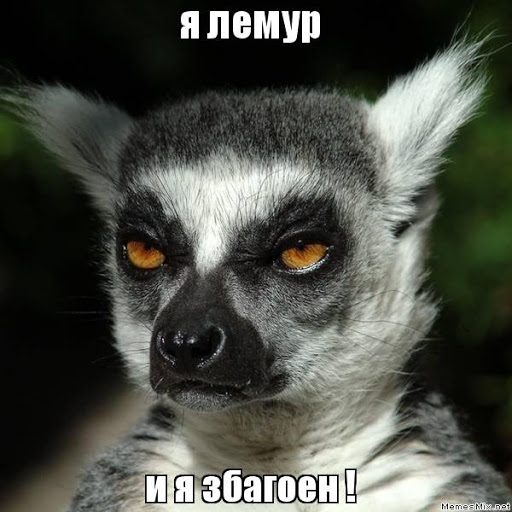 1608143377643.webp