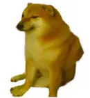 1608667691609.webp