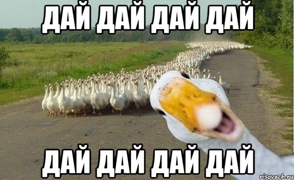 1608757371977.webp