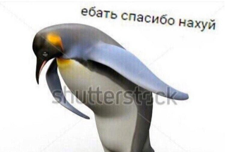 1611335083067.webp