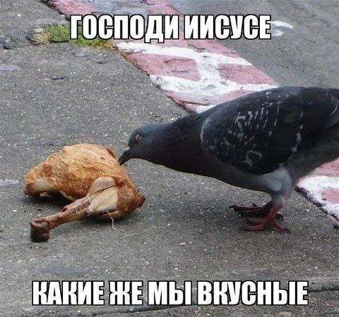1611446822789.webp