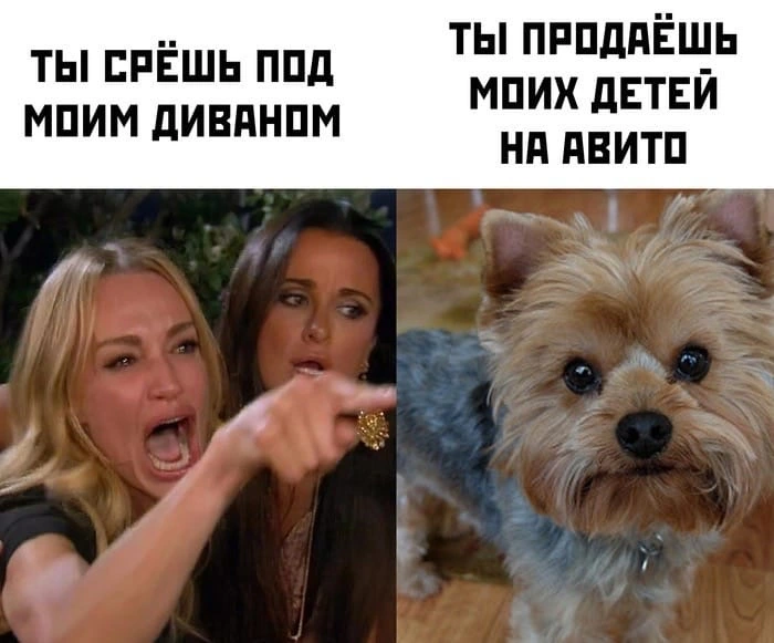 16125027623113.webp