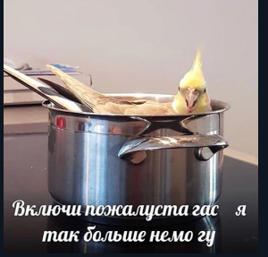 1612885433759.webp