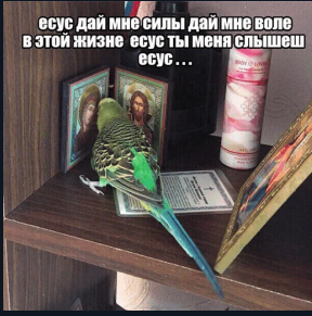 1612887686231.webp
