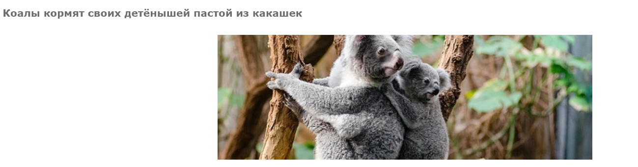1612905102869.webp