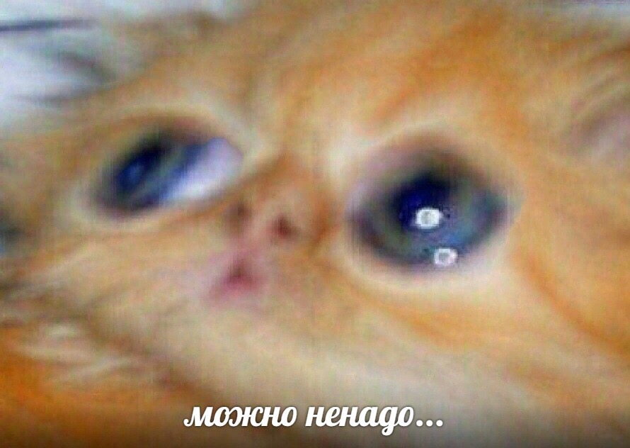 1613039132670.webp
