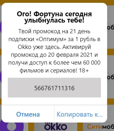 1613079405135.webp