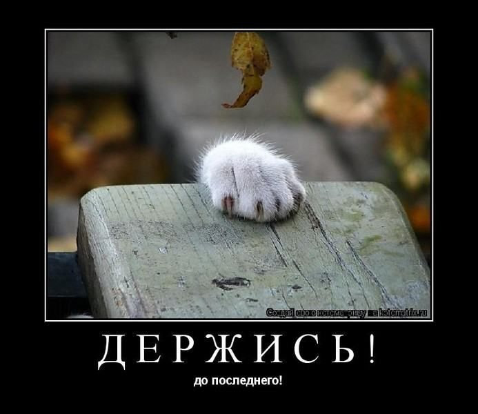 1613509092948.webp