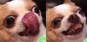 1613829778586.webp