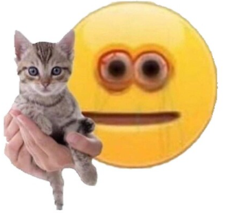 1614101976244.webp